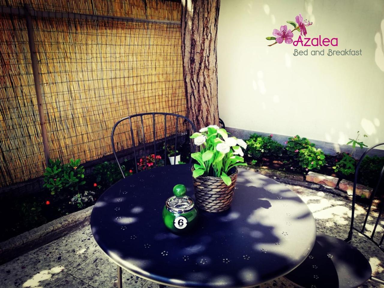 Azalea B&B Naples Exterior photo