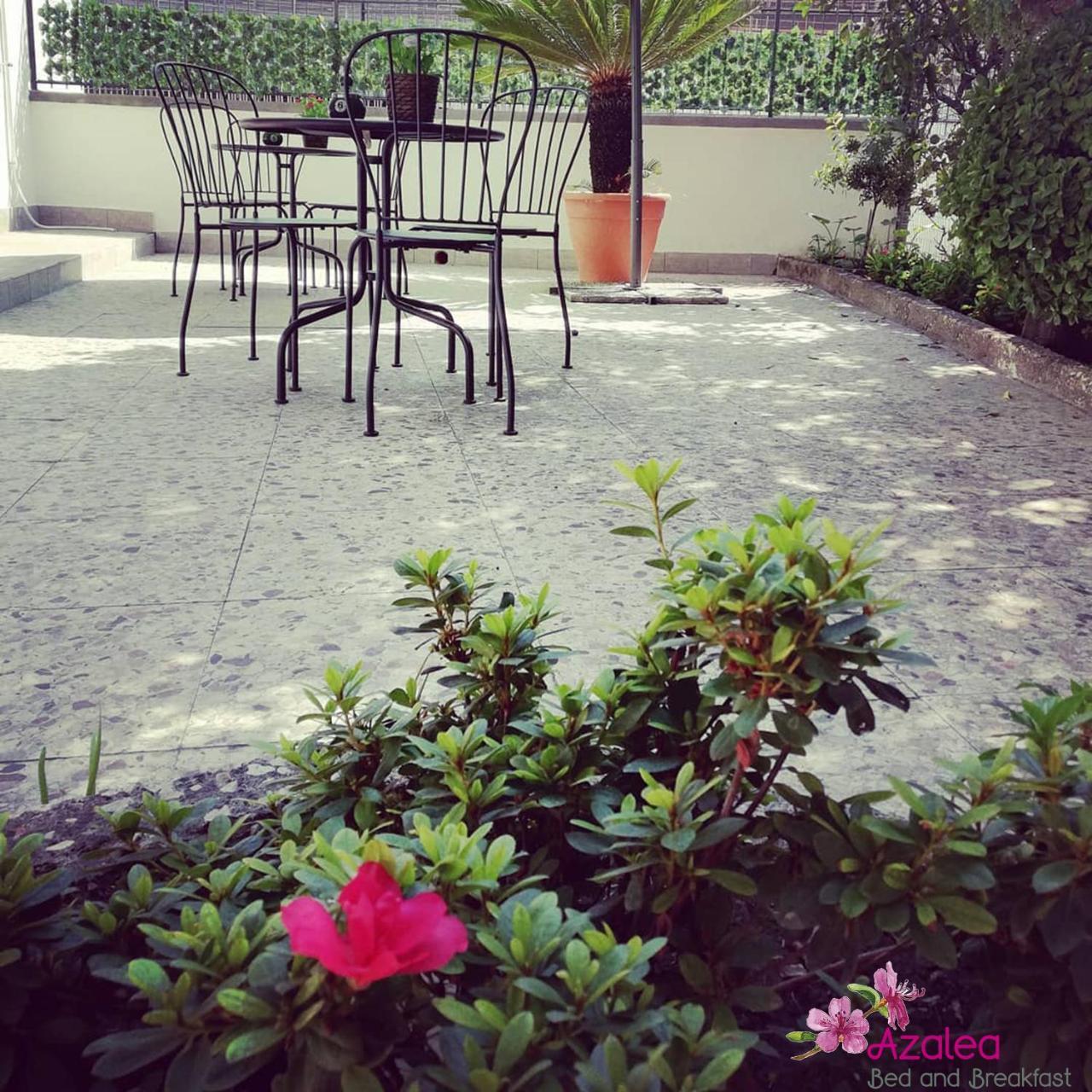Azalea B&B Naples Exterior photo