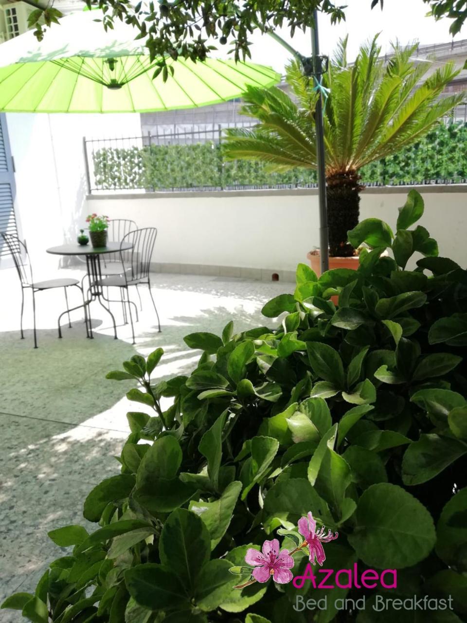 Azalea B&B Naples Exterior photo